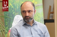 علی صادقی