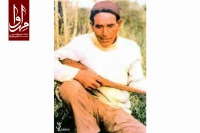 نظام شکارچیان