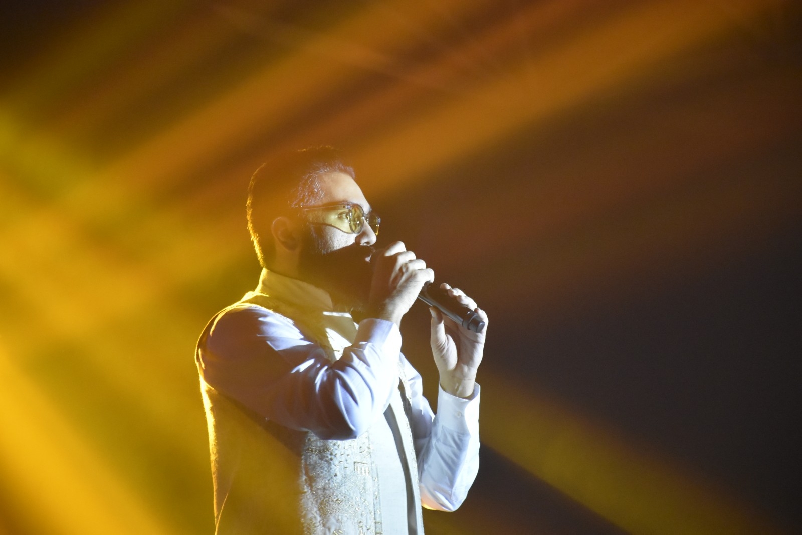 کنسرت علی زندوکیلی