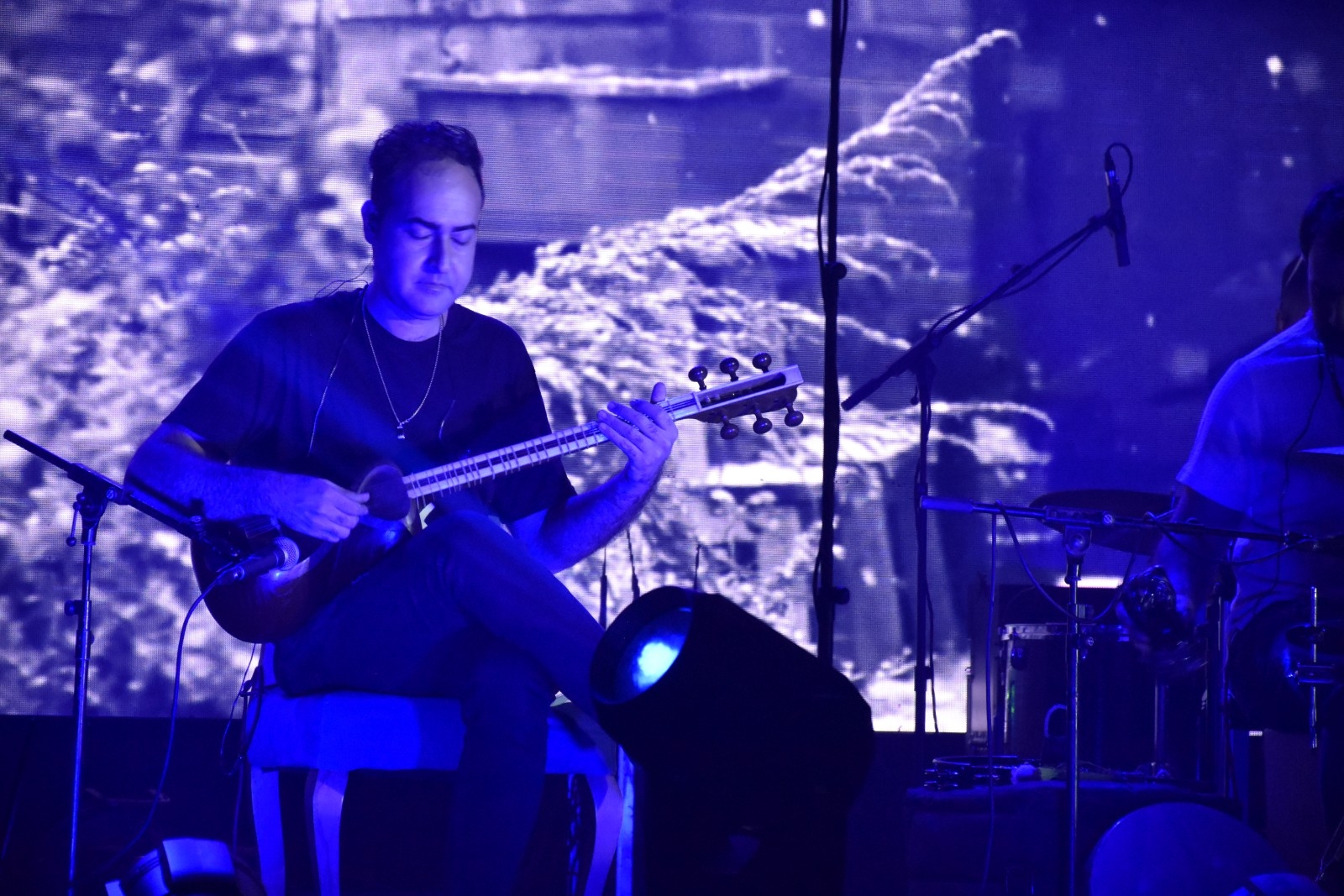 کنسرت علی زندوکیلی